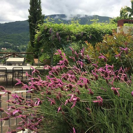 Agriturismo Braccicorti Pieve Fosciana Bagian luar foto