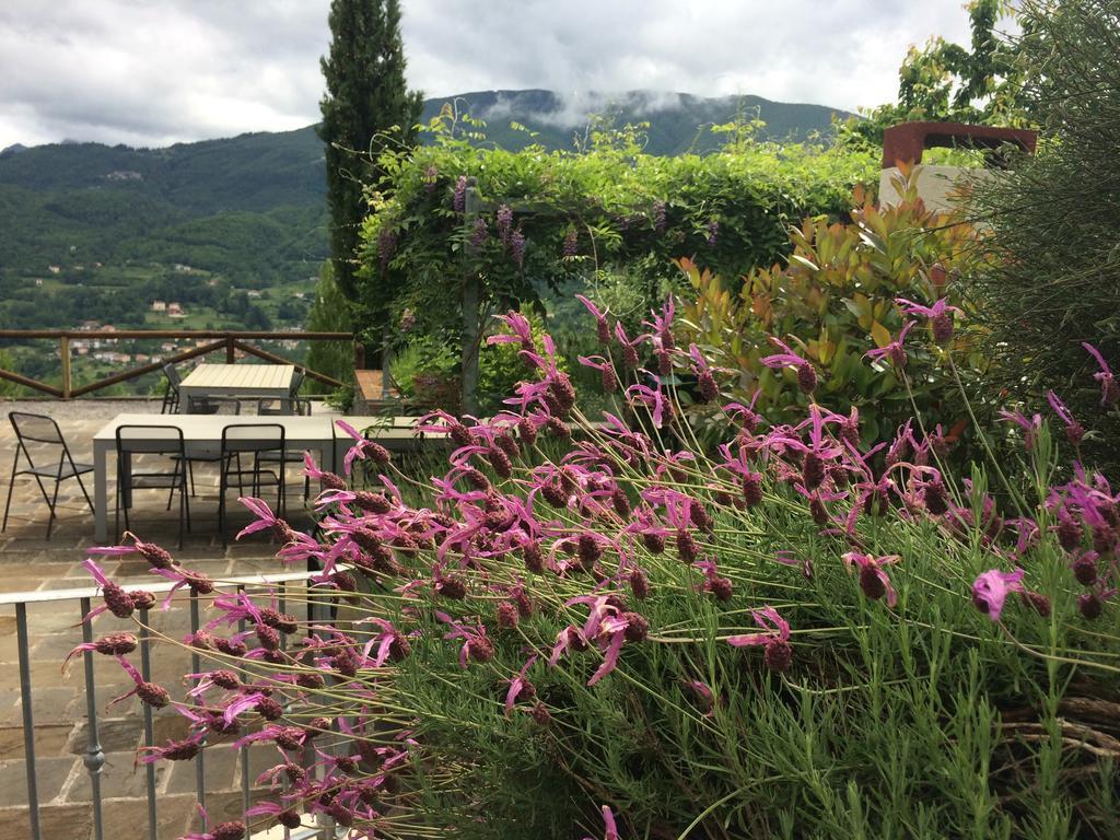 Agriturismo Braccicorti Pieve Fosciana Bagian luar foto
