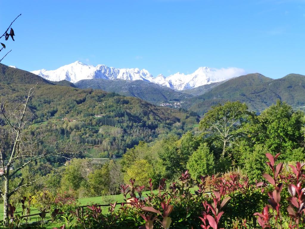 Agriturismo Braccicorti Pieve Fosciana Bagian luar foto