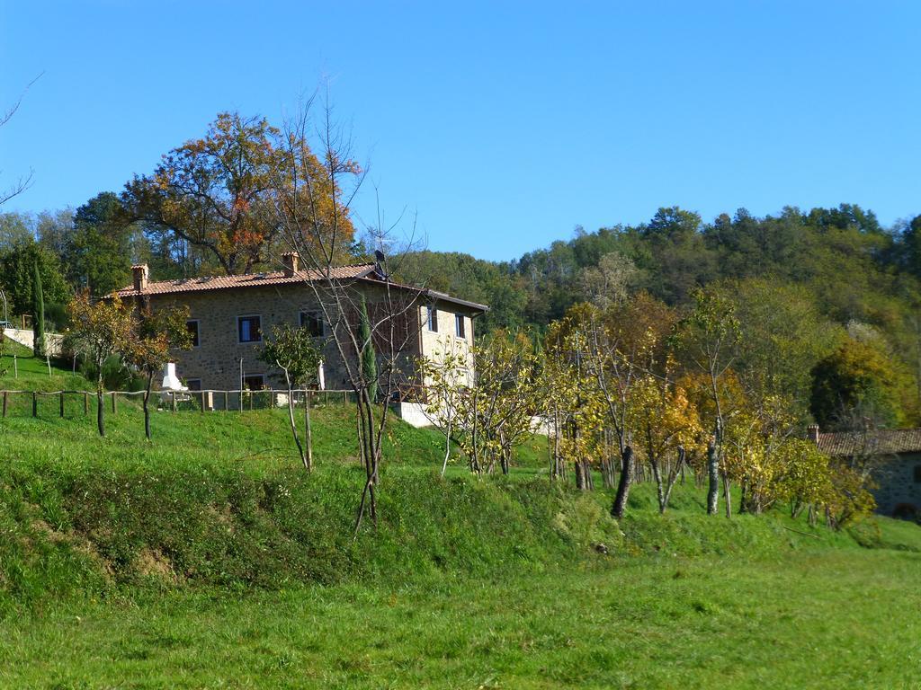 Agriturismo Braccicorti Pieve Fosciana Bagian luar foto
